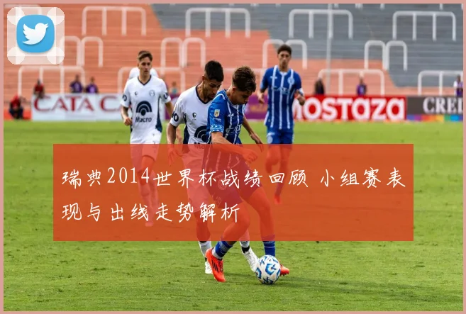 瑞典2014世界杯战绩回顾 小组赛表现与出线走势解析