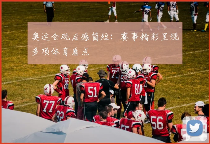 奥运会观后感简短:赛事精彩呈现多项体育看点