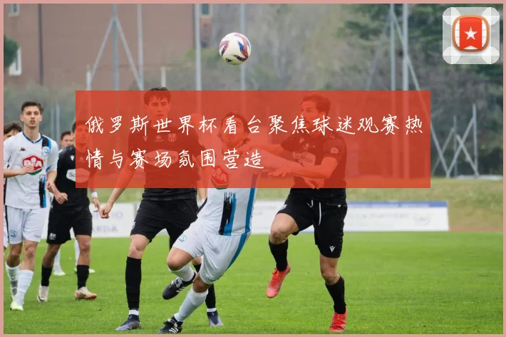 俄罗斯世界杯看台聚焦球迷观赛热情与赛场氛围营造
